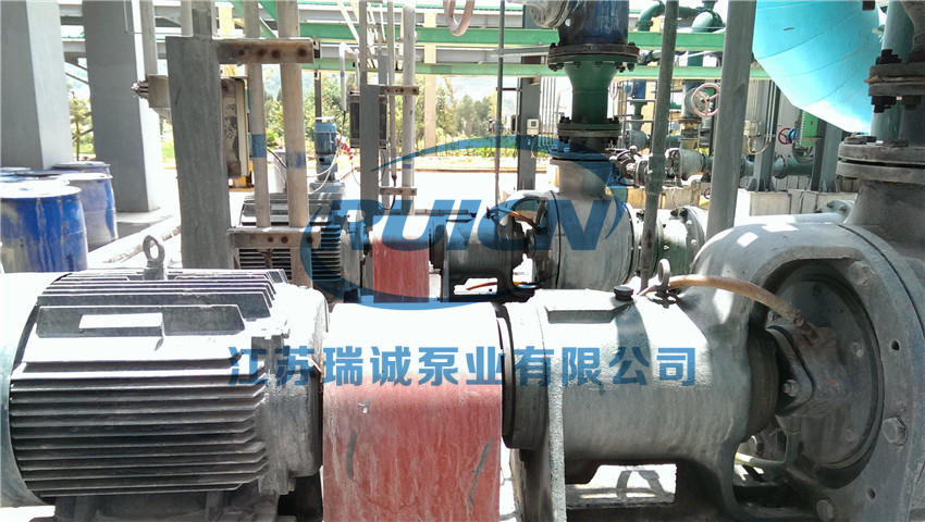 1591228960643596.jpg IMAG0573.jpg